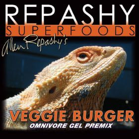 repashy calcium plus bearded dragon