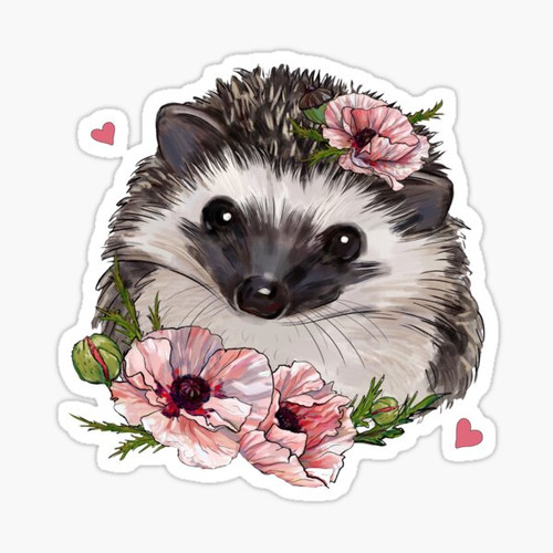 Hedgehog Sticker Hedgehog Sticker