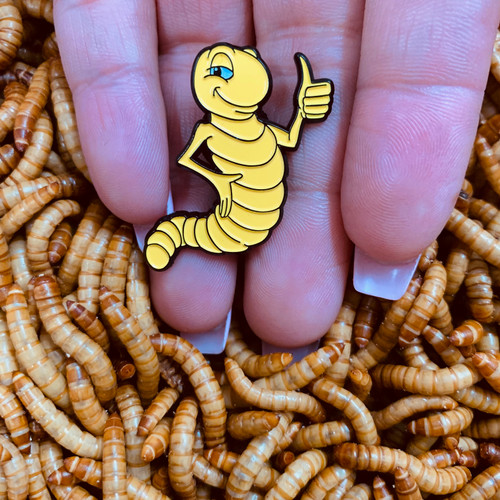 Rainbow Mealworms and Crickets