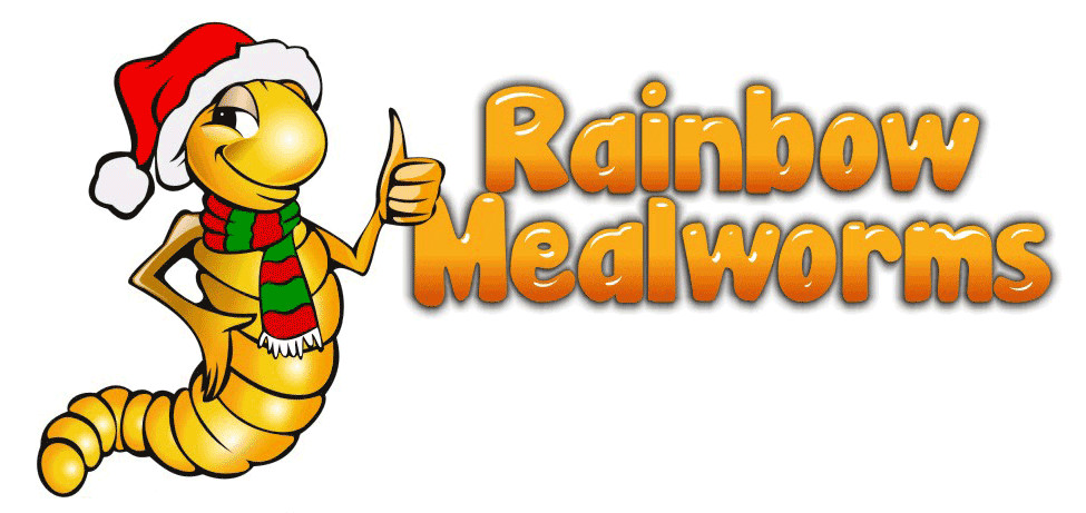Rainbow Mealworms