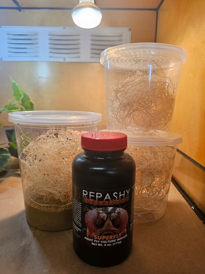 unnamed__92867.1709169908.jpg?c=2