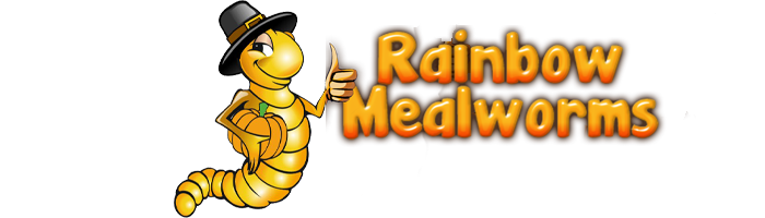 Rainbow Mealworms