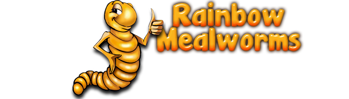 Rainbow Mealworms