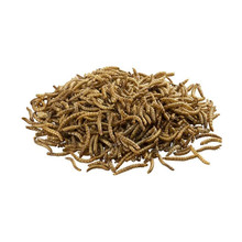 www.rainbowmealworms.net