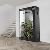 The Best Grow Tent Setup For Beginners
