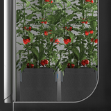 Plastic vs. Fabric Pots: A Comparison 