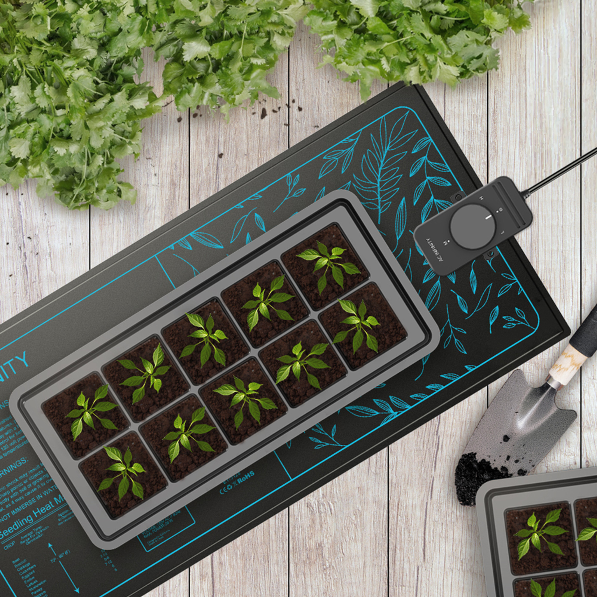 Seedling Heat Mat for Seed Starting - Free Shipping