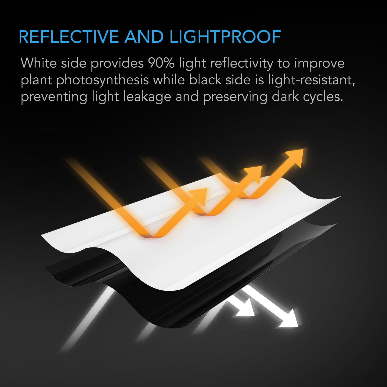 Black and White Panda Film