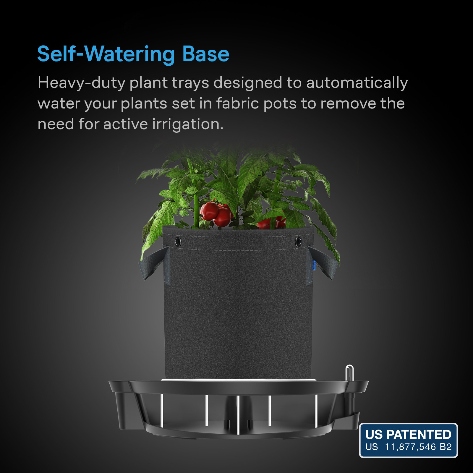 Self-Watering Fabric Pot Base XL, 4-Pack - AC Infinity