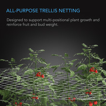 Heavy Duty Polyester Plant Trellis Netting Soft Mesh Grow Net 5x15