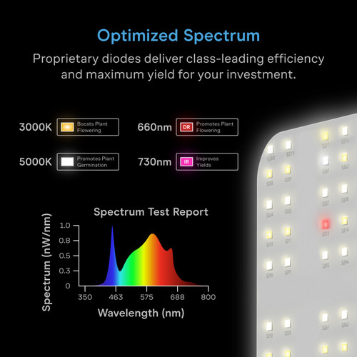 IONBOARD S24 Grow Light Board 220W Full Spectrum LED | AC Infinity