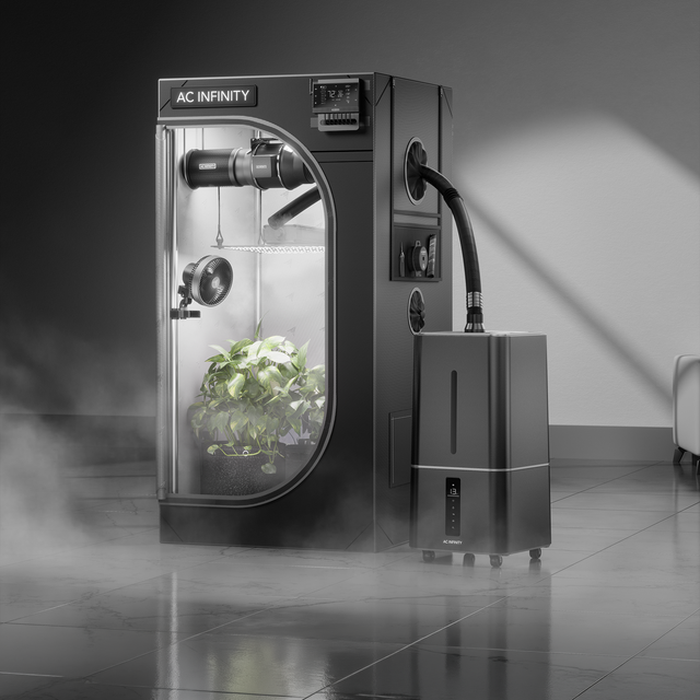 Mastering Grow Room Climate: Plant Humidifiers are Essential