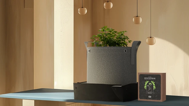 Common Problems Indoor Growers Face 