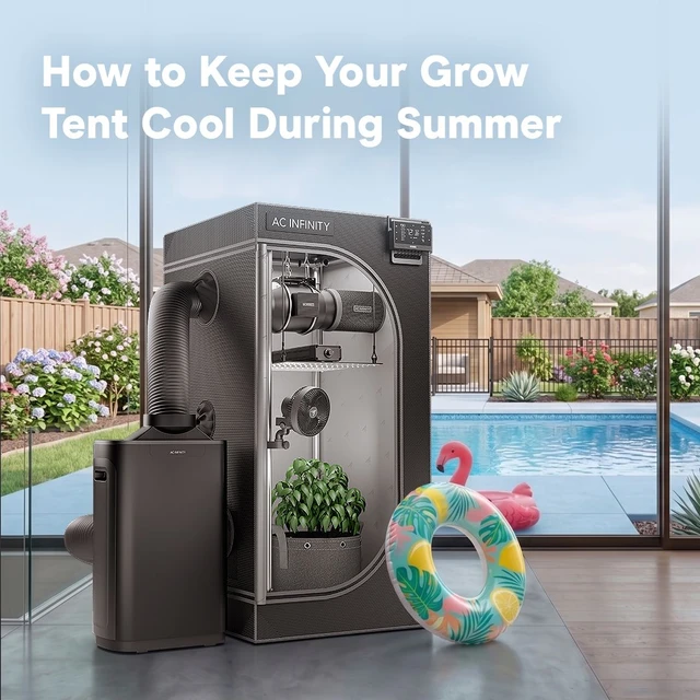 How to Keep Your Grow Tent Cool During Summer