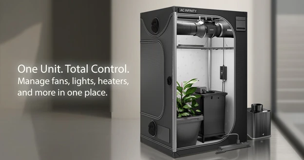 Indoor Growing: A Short Guide to Getting Started