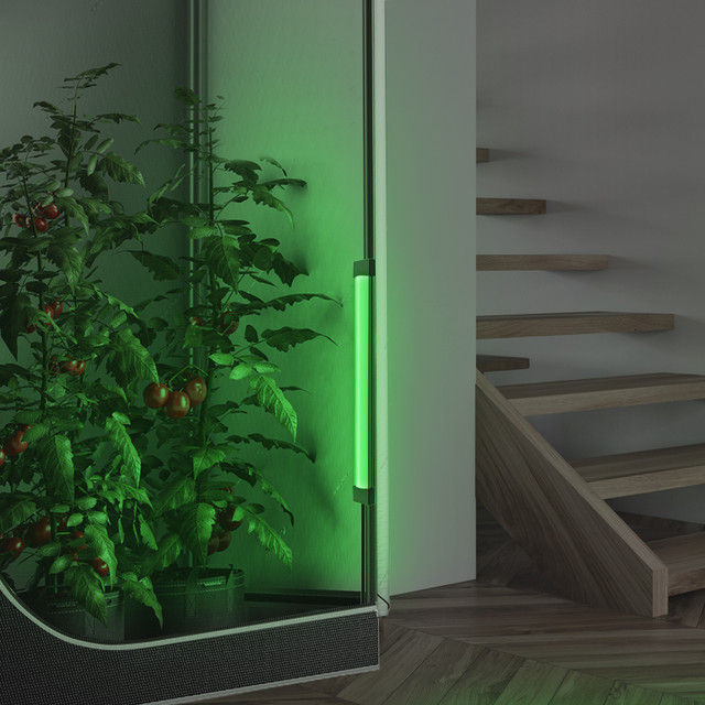Exploring Green Light's Effect on Your Grow