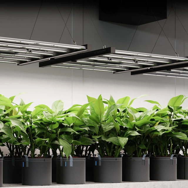 Full Spectrum Grow Lights: What They Are and How to Choose the Right One