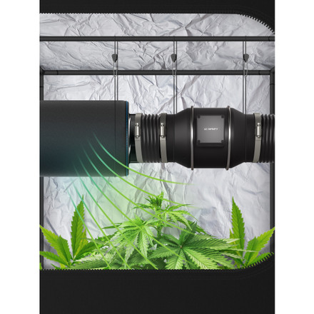 Here's Why You WANT to Grow Inside With a Grow Tent 