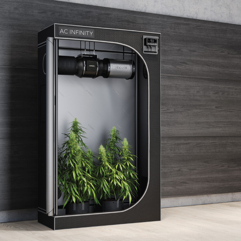 3 Techniques You Need to Optimize Your Grow