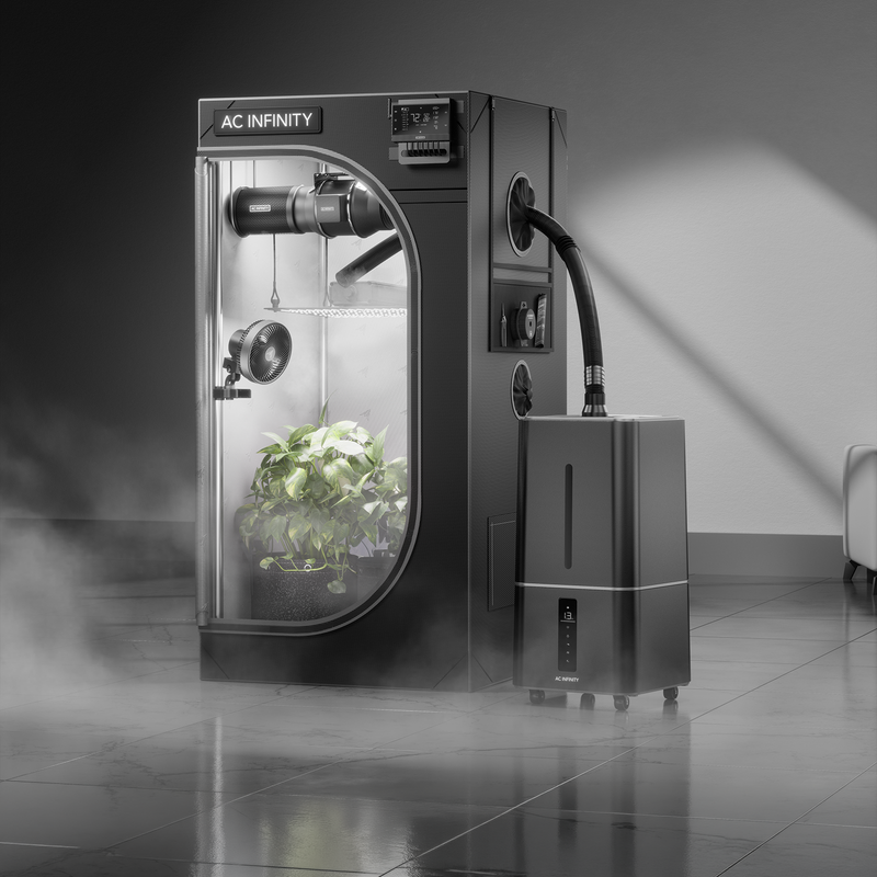 Mastering Grow Room Climate: Plant Humidifiers are Essential