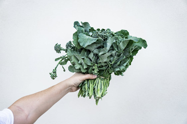 Plants That Thrive With Hydroponic Setups