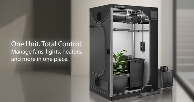 Indoor Growing: A Short Guide to Getting Started