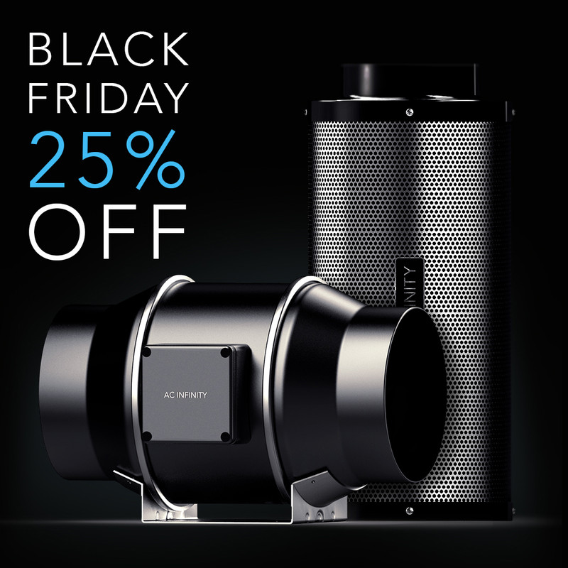 Get 25% Off This Black Friday Weekend!