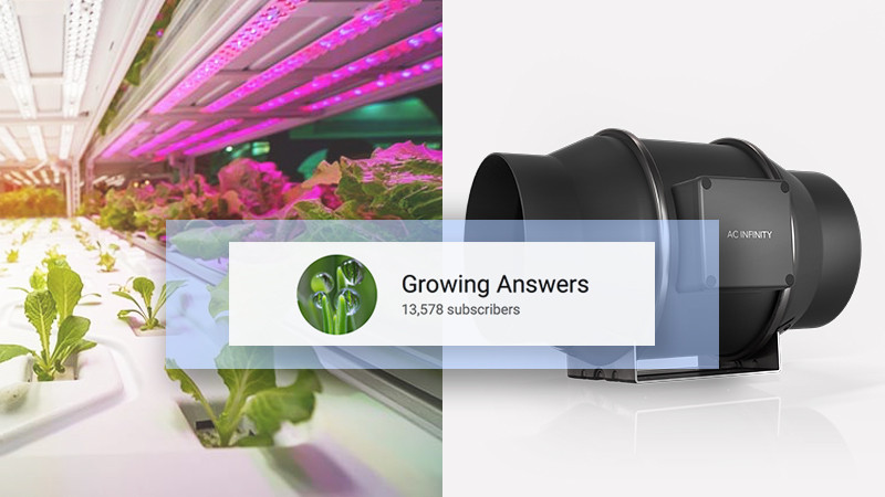 Growing Indoors?