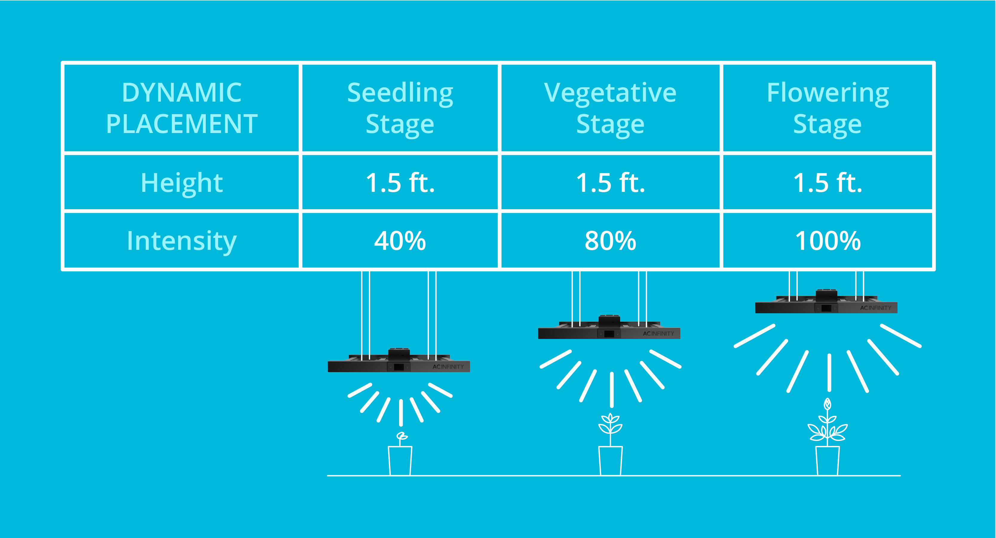 Grow Light Placement