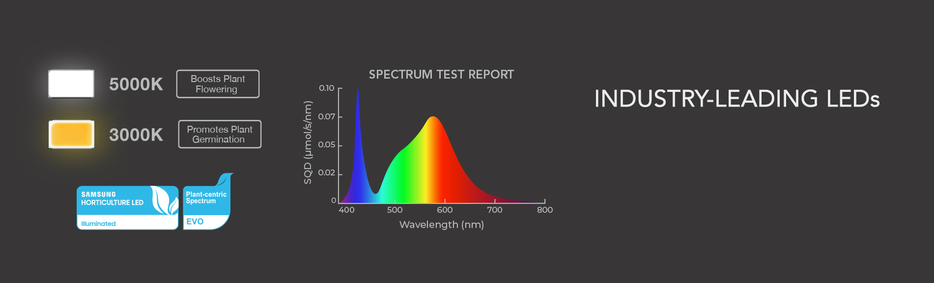 ionbeamlandingd4.5.jpg