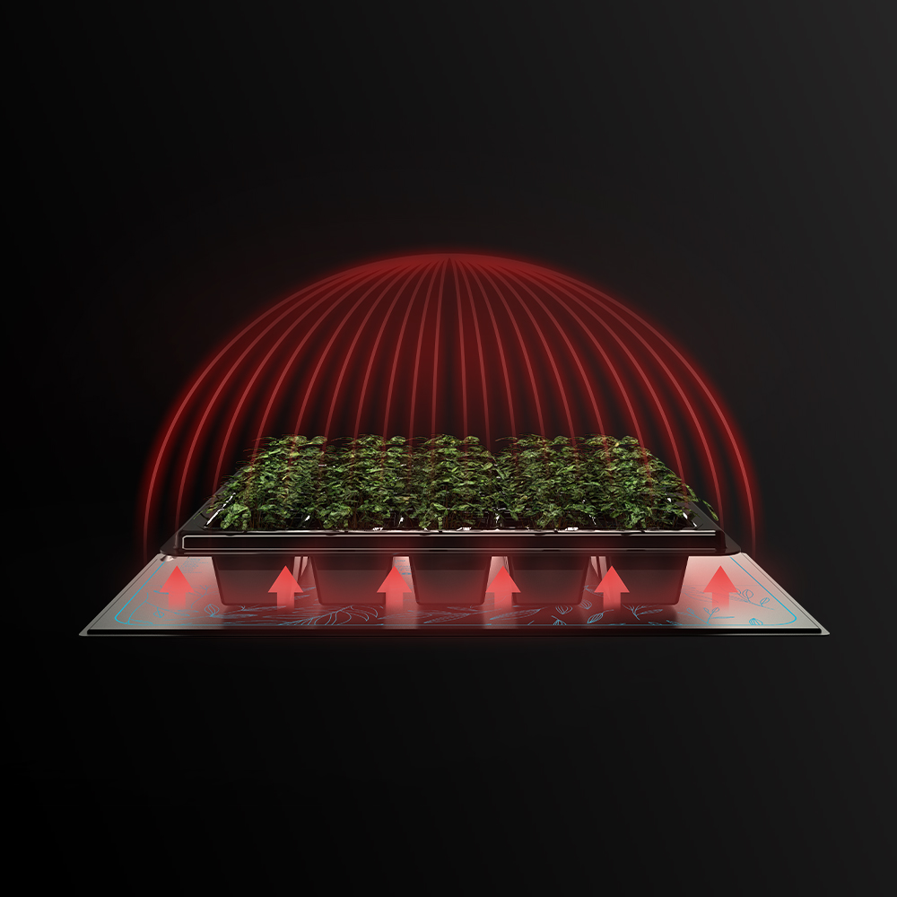 When Should I Turn Off My Seedling Mat? AC Infinity