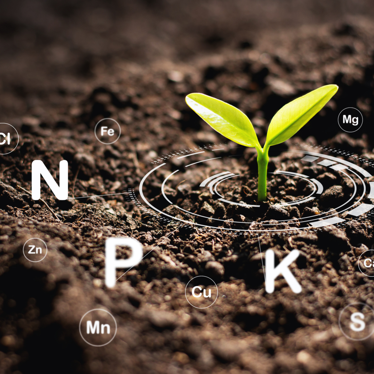 the-three-primary-nutrients-you-need-for-your-plants-ac-infinity