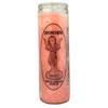 Holy Child Jesus Prayer Candle ( Case  )