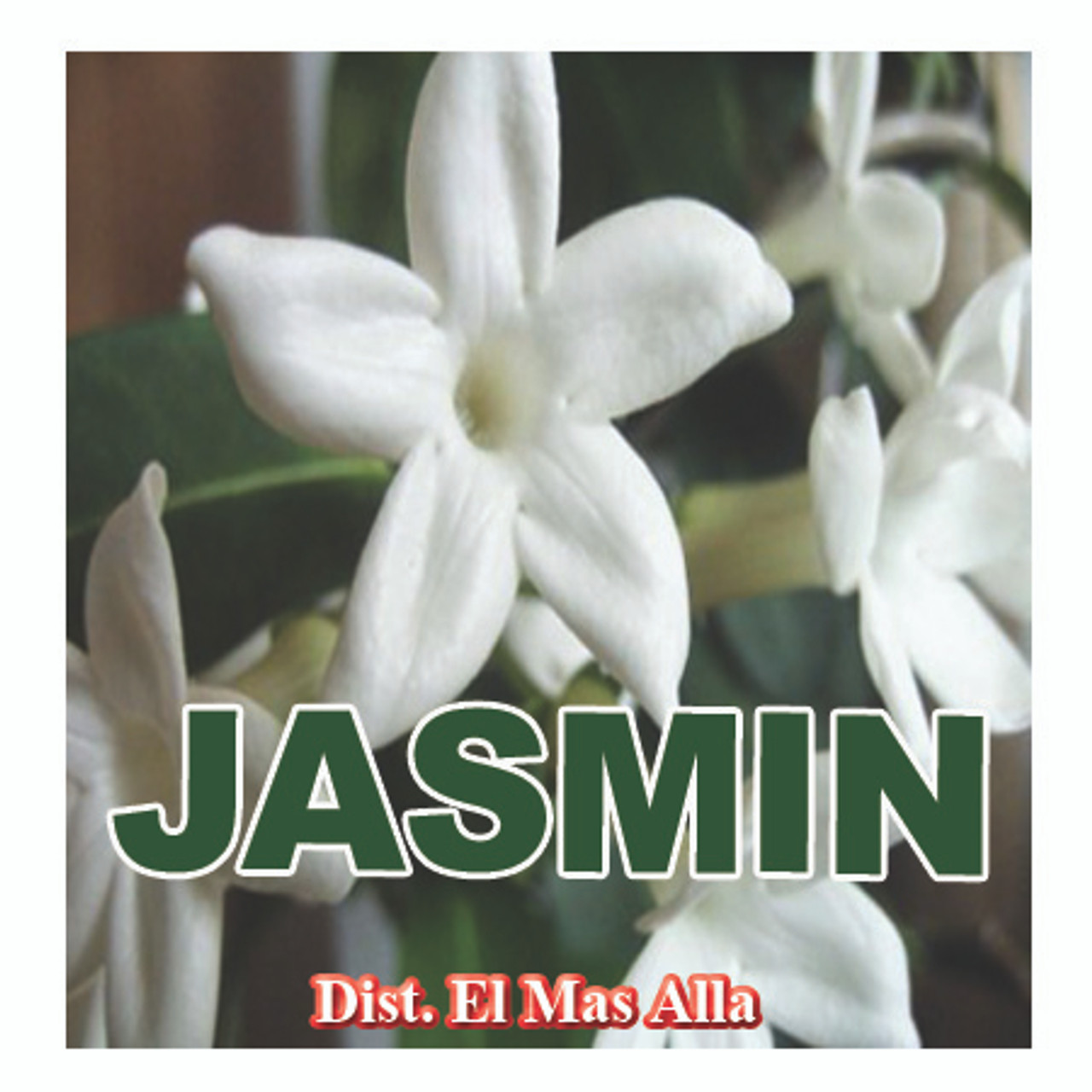 Aceite Jazmin - Spiritual Oil