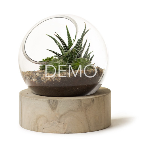 [Sample] Orbit Terrarium - Large demo