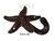 Iron Star Fish Hook 4.5"