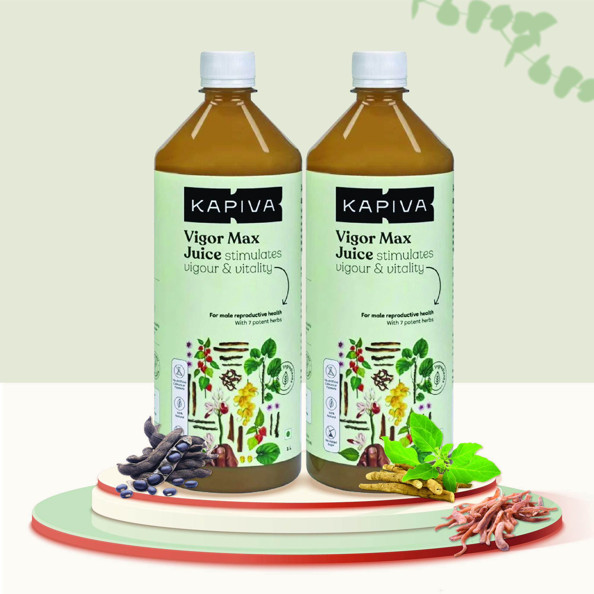 Vigor Max Juice - 1 Month Pack