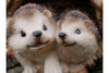  Hedgehogs In Log Home Accessory Garden Ornament 