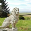 Single Giant White Porto Lion Facing Right