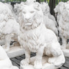 Single Giant White Porto Lion Facing Right 