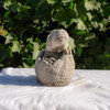 Small Stone Cast T-Rex Sitting in Egg Garden Sculpture Dinosaur Figurine