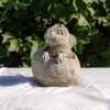 Small Stone Cast Carnotaurus Sitting in Egg Garden Sculpture Dinosaur Figurine