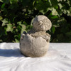 Small Stone Cast  Baby Dino with Eggshell Hat Statue 