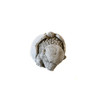 Small Stone Cast  Baby Dino with Eggshell Hat Statue
