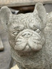 Standing Frenchie Stone Statue Detailed Garden Ornament 