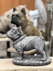 Pilot Frenchie Stone Statue Detailed Garden Ornament