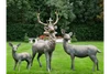 Outdoor Woodland Stag Christmas Sculpture