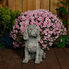 Spaniel Puppy Dog Stone Cast Garden Ornament
