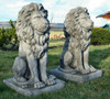 Pair of stunning large sitting lion statues