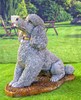 Stone Cast Sitting Poodle Statue